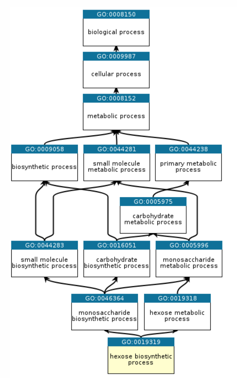 Meaning Of Ontology